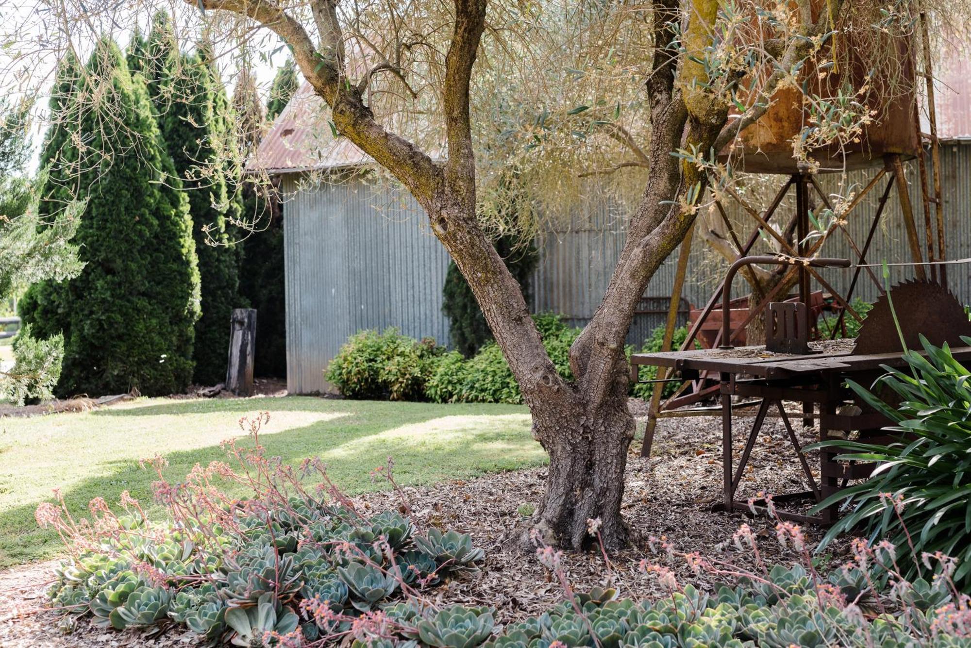 Walnut Tree Cottages Whorouly Exterior photo